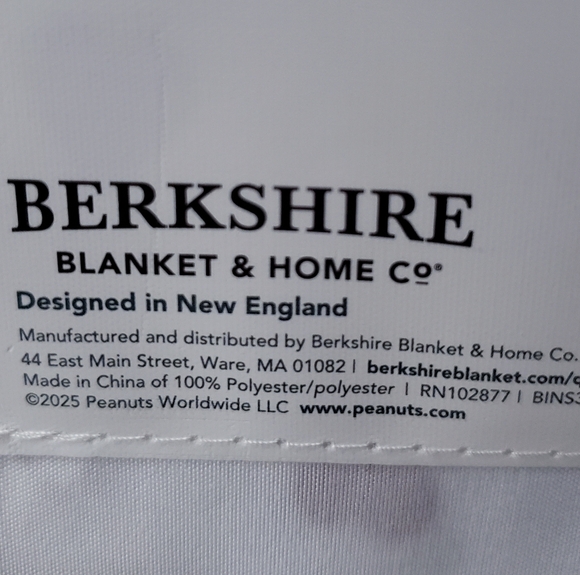 Peanuts Snoopy 4-pc Queen Size Bed Sheet Set by Berkshire Hearts Cartoon Twee - Picture 5 of 6